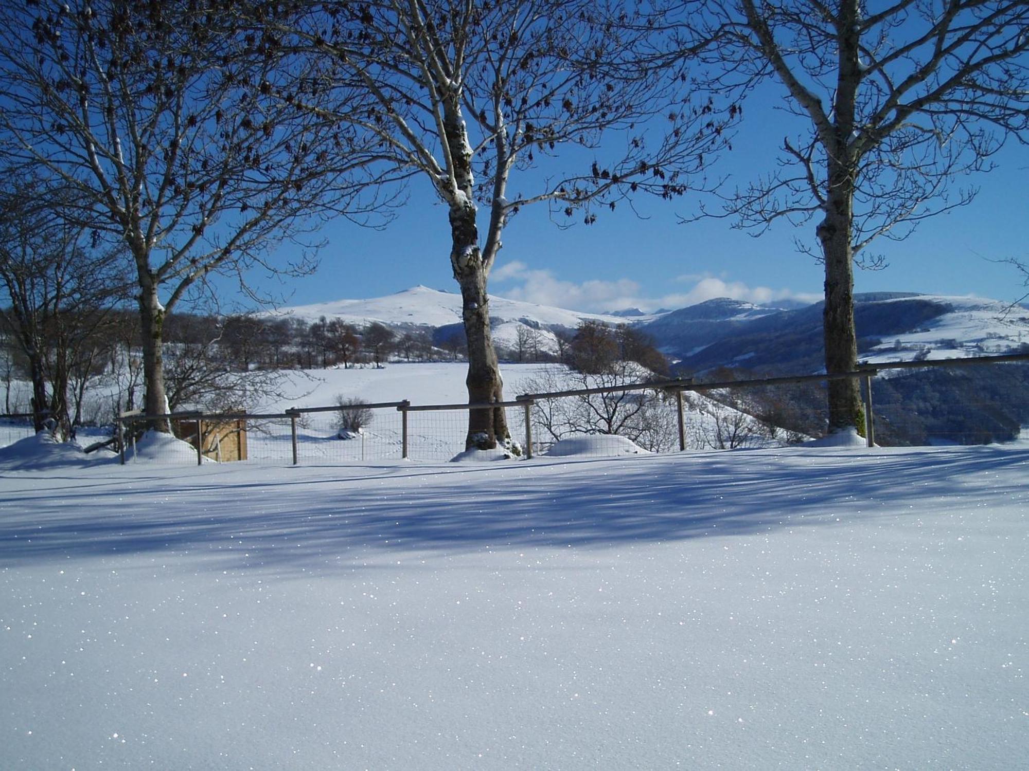 Penzion Domaine De La Chaux De Revel Saint-Martin-Valmeroux Exteriér fotografie