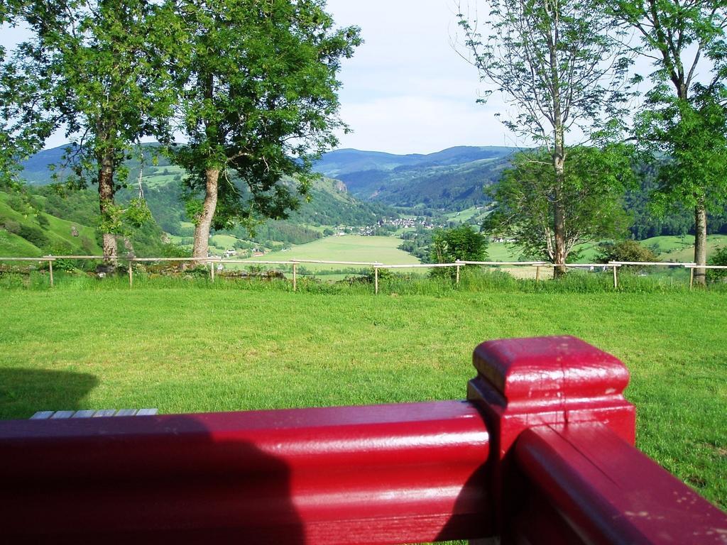 Penzion Domaine De La Chaux De Revel Saint-Martin-Valmeroux Exteriér fotografie
